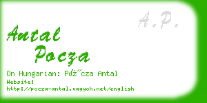 antal pocza business card